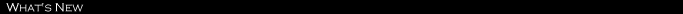 新着情報