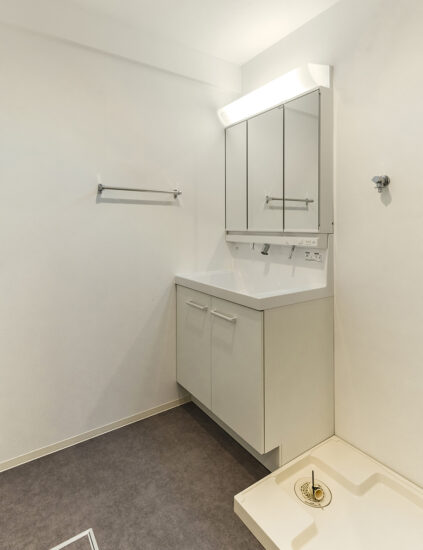 鏡裏収納付きの洗面台