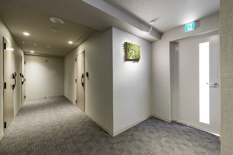 名古屋市中区の賃貸マンションの緑が飾られた階数表示に木目調のドアが並ぶおしゃれな共用廊下